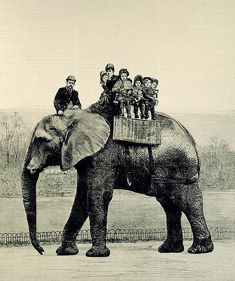A Farewell Ride on Jumbo, from ''The Illustrated London News'', 18th March 1882 van English School