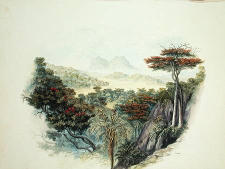 The Mountains, Ceylon  on van English School