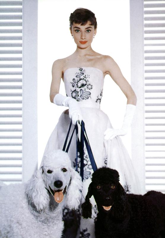 SABRINA de BillyWilder avec Audrey Hepburn van English Photographer, (20th century)