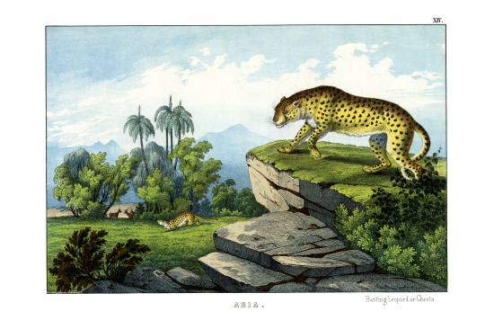 Hunting Leopard van English School, (19th century)