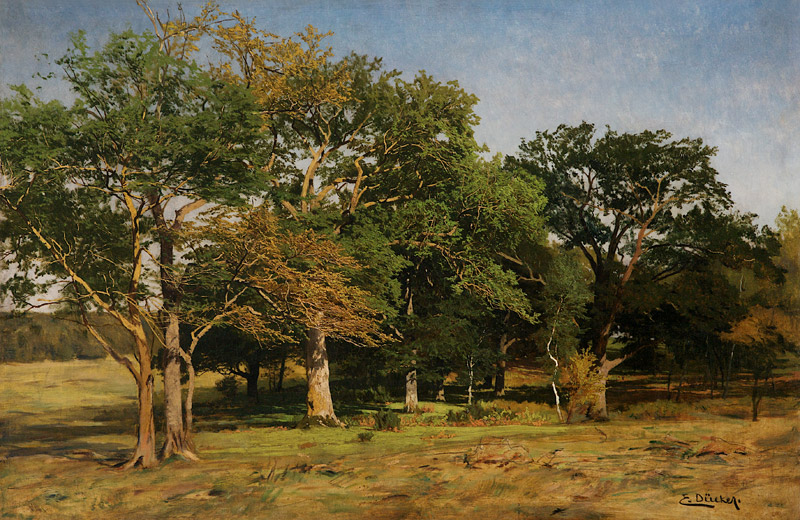 Große Waldstudie. van Eugen Dücker