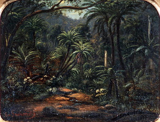 Ferntree Gully in the Dandenong Ranges, 1857 (oil on canvas on cedar panel) van Eugene von Guerard