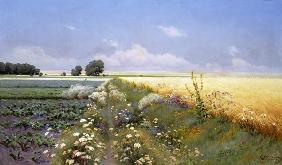 Summer Landscape