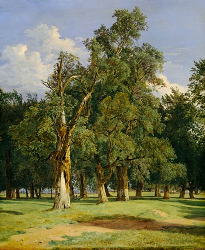 Elm trees in Prater van Ferdinand Georg Waldmüller