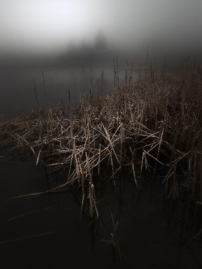 The Mists of Pertüs Lake