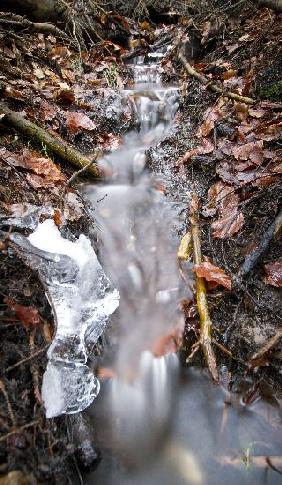 Kleiner Bach im Taunus