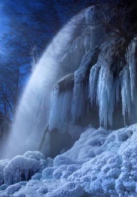 Frozen in the moonlight