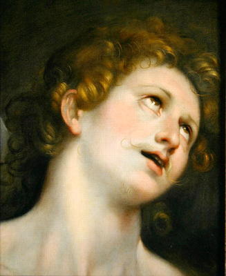 St. Sebastian (oil on paper on canvas) van Frederico Barocci