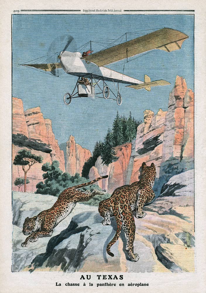 Hunting panthers from an airplane in Texas, illustration from ''Le Petit Journal'', supplement illus van French School