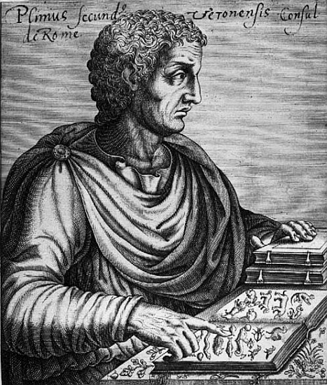 Pliny the Elder (23-79 AD) van French School
