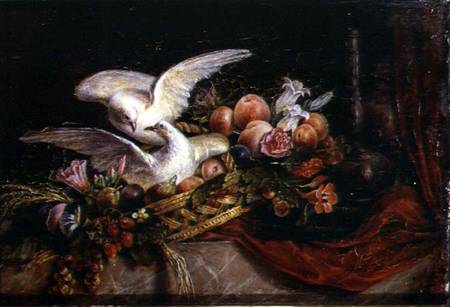 Still Life with Two White Doves van French School