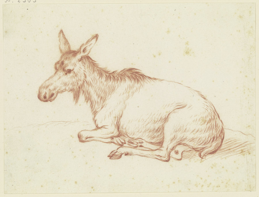 Liegender Esel nach links van Friedrich Wilhelm Hirt