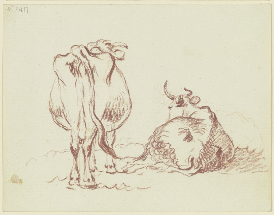 Zwei Rinder, eines stehend, eines liegend, beide rückansichtig, das liegende in starker Verkürzung van Friedrich Wilhelm Hirt