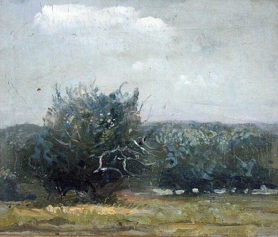 Apple Tree Field (oil on canvas)  van Gail  Schulman