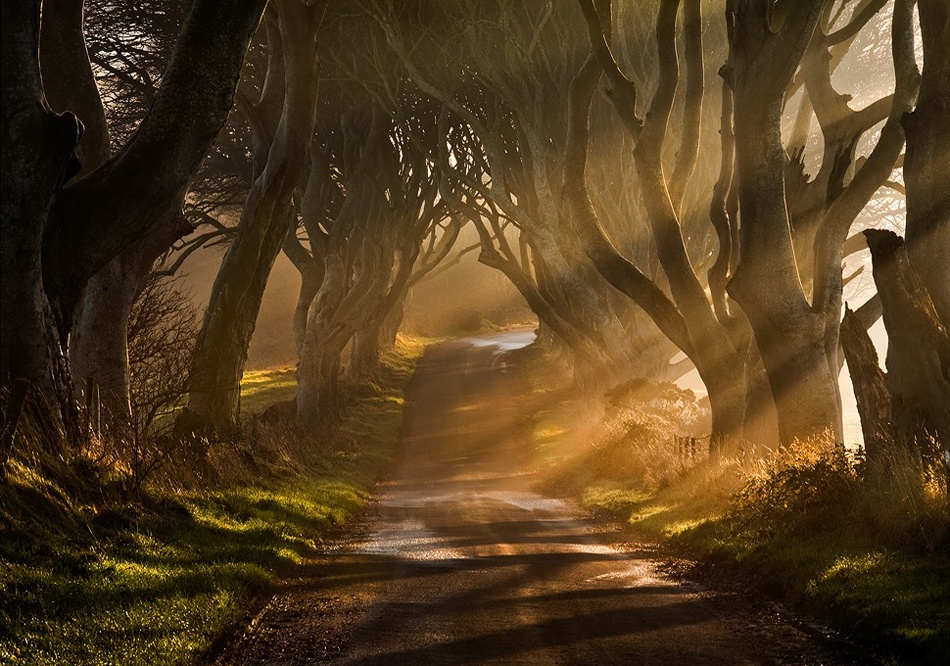 The Road Goes Ever On &amp; On van Gary McParland