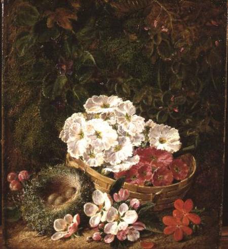 Still life of bird's nest, primulas in a basket and apple blossom van George Clare