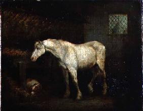 An Old Grey Mare at a Manger