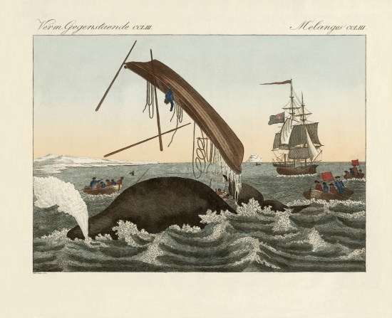 The dangers of whale fishing van German School, (19th century)