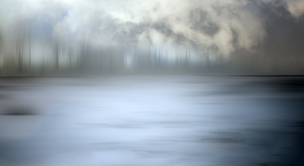Foggy forest van Gilbert Claes