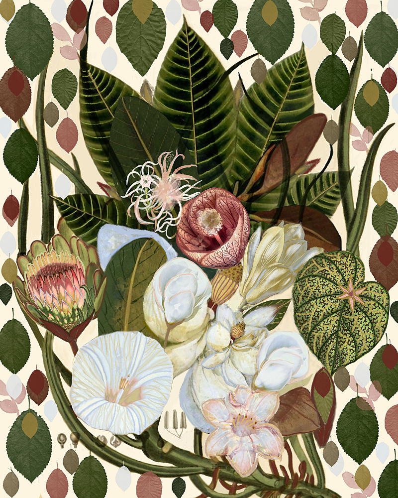 Earthy Blooms.png van giovanna nicolo