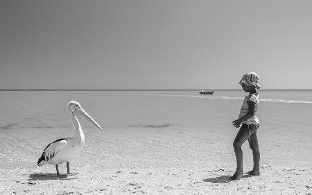 Mekdi and the pelican