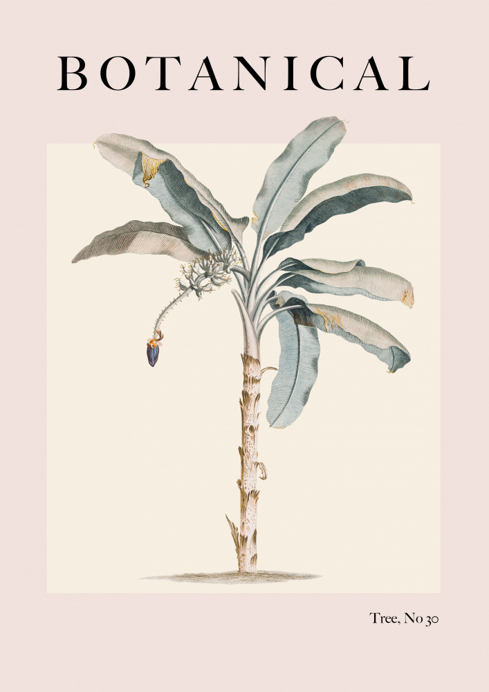 Botanical Palm van Grace Digital Art Co