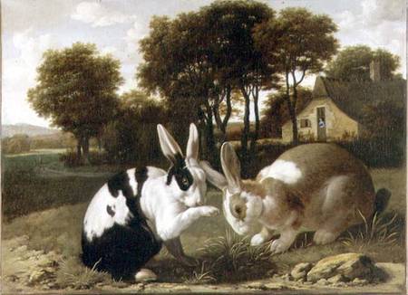 Two Rabbits in a Landscape van Haarlem School