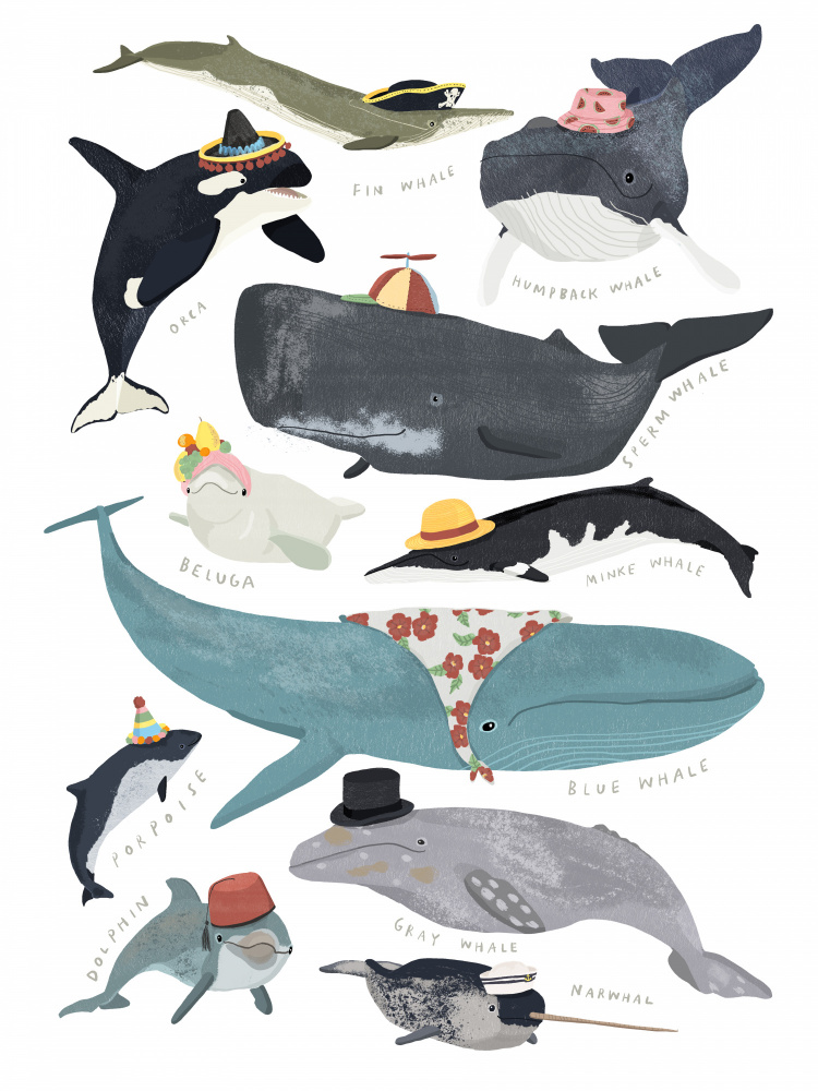 Whales In Hats van Hanna Melin