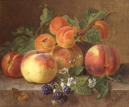 Still Life of Peaches van Henrietta Ronner-Knip