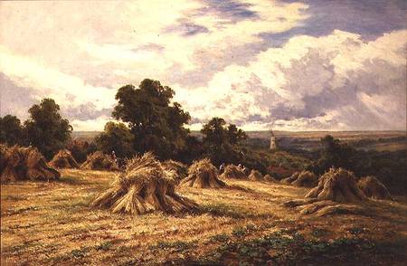 Harvested Field van Henry Parker