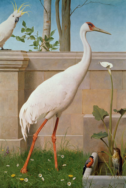 Indian Crane, Cockatoo, Bullfinch and Thrush van Henry Stacey Marks