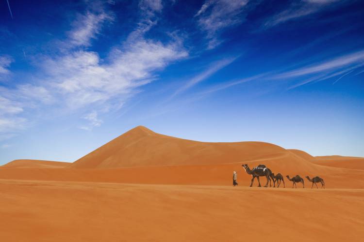 Desert Life .. van Hesham Alhumaid