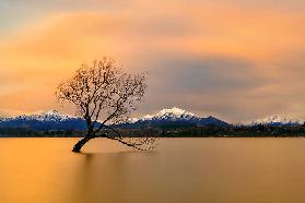 Morning glow of the Lake Wanaka