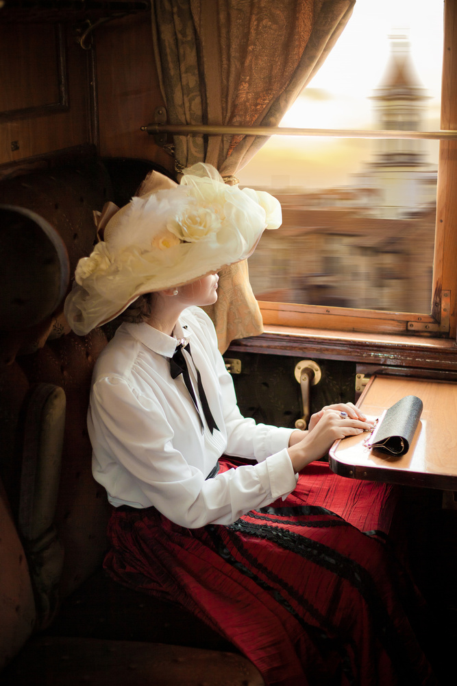 The Girl on the Train van Ildiko Neer