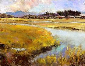 Marshland 1