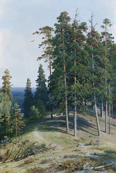 The Pine Forest van Iwan Iwanowitsch Schischkin
