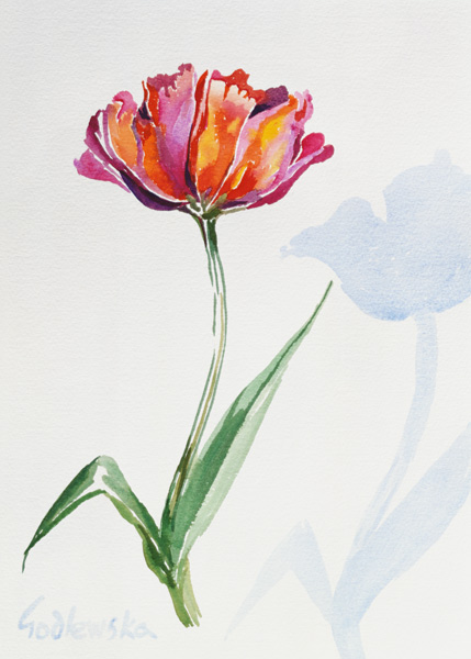 Tulip, 1998 (w/c on paper) (see also 124446 & 124448)  van Izabella  Godlewska de Aranda