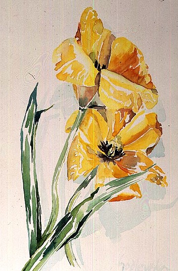 No.6 Yellow Tulip (w/c)  van Izabella  Godlewska de Aranda