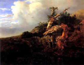 Duinlandschap met boerenwoning - Jacob Isaacksz van Ruisdael