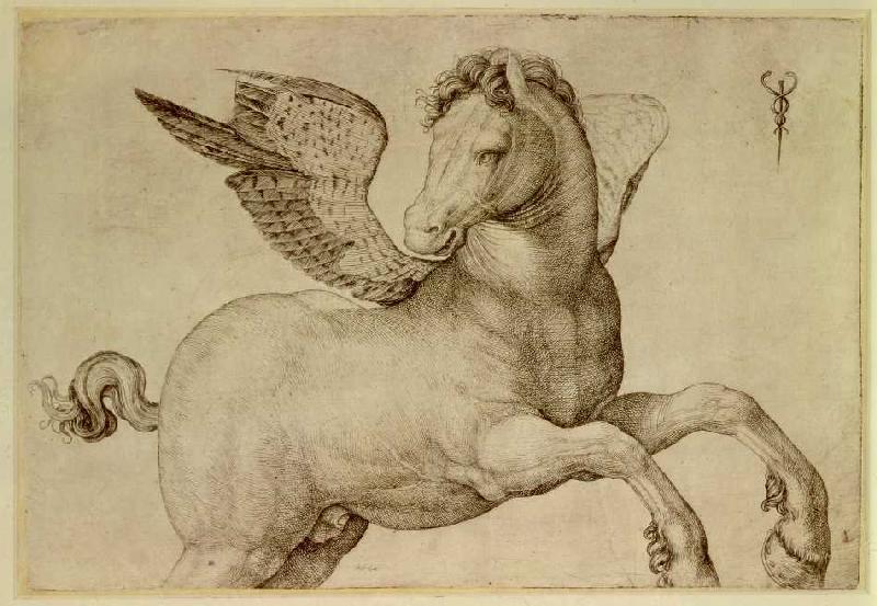 Pegasus. van Jacopo de Barbari