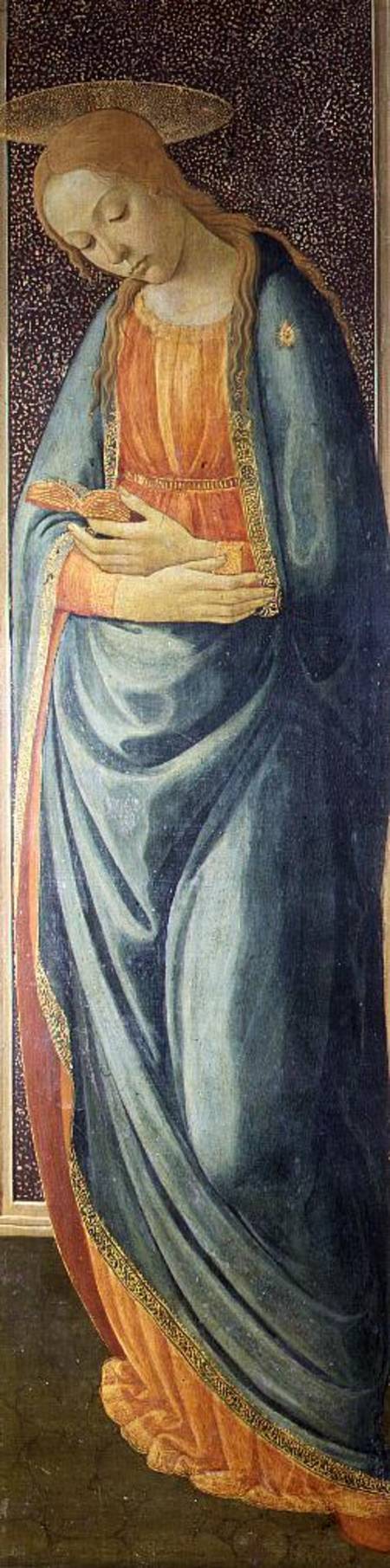 Virgin Mary van Jacopo del Sellaio