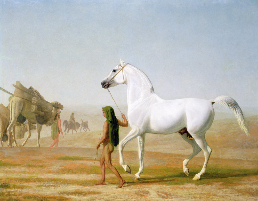 The Wellesley Grey Arabian Led through the Desert van Jacques-Laurent Agasse