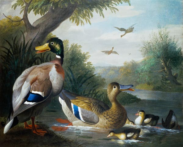 Ducks in a River Landscape van Jakob Bogdani or Bogdany