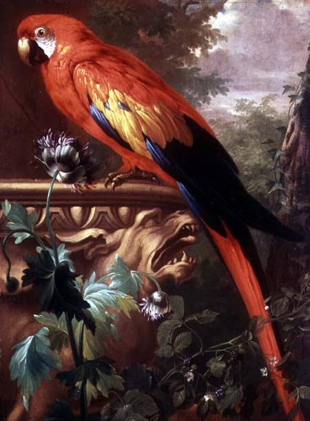 Scarlet Macaw in a Landscape van Jakob Bogdani or Bogdany