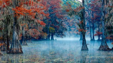 Caddo Lake