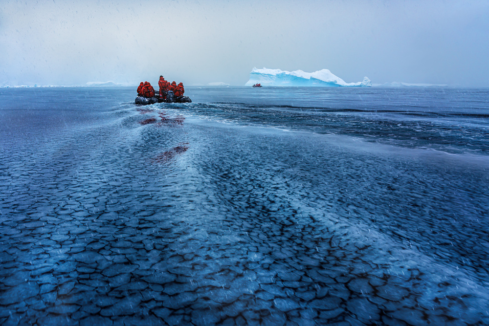 Chasing van James Cai