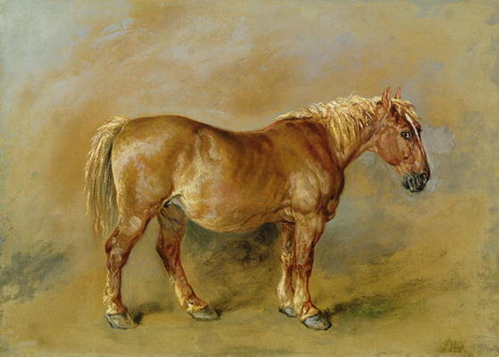 A Suffolk Punch (oil on paper laid onto canvas) van James Ward