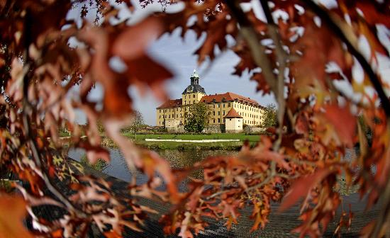 Herbst im Schlosspark Zeitz van Jan Woitas