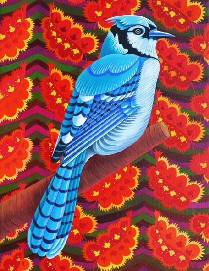 Blue Jay