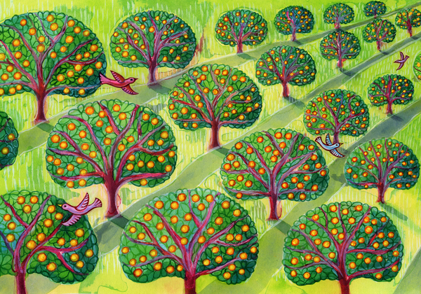 Orchard van Jane Tattersfield